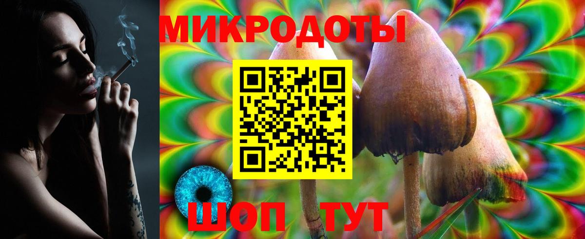 Березники  Галлюциногенные грибы Cubensis  Вход с VPN 